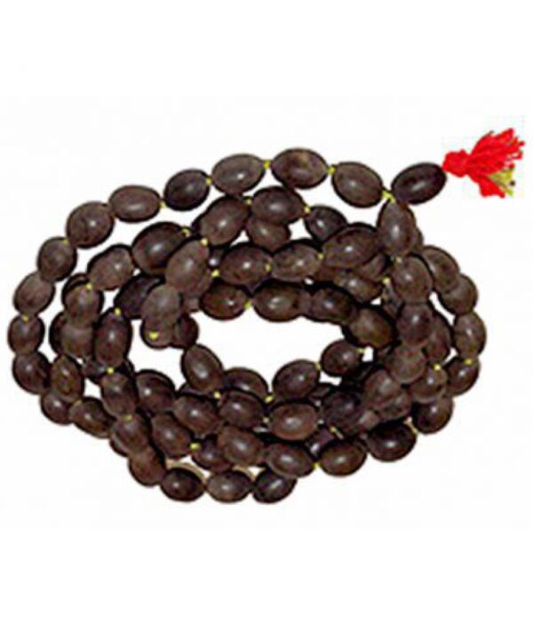 Original 108+1 Lotus Seeds Kamal Gatta Mala For Japa , Laxmi Pooja